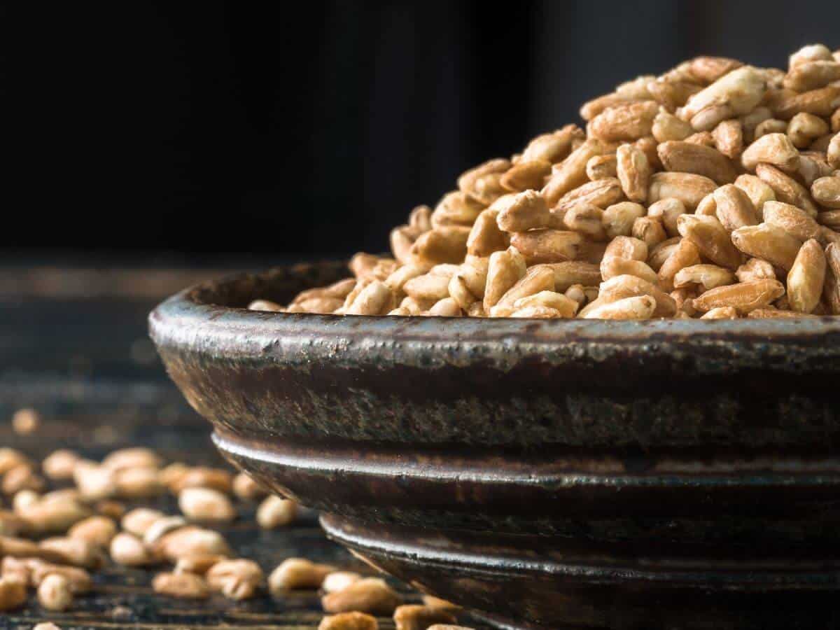 Featured image for the post titled: is farro gluten free? It depicts a brown bowl full of dry farro that is overflowing. Some farro has fallen onto the table below.