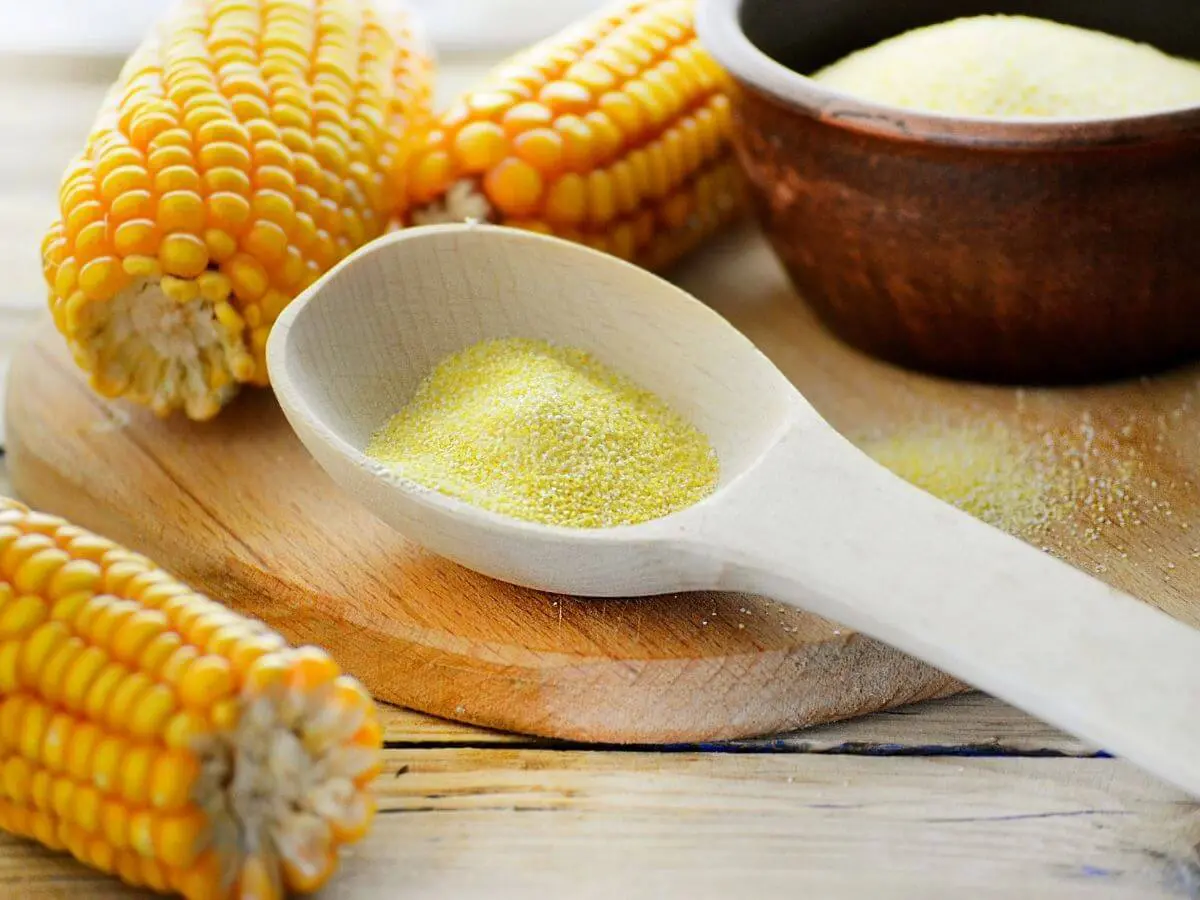 dry grits in a white spoon surrounded by corn cobs for the post titled "are grits gluten free?"