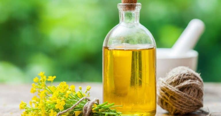 Is Canola Oil Gluten Free?