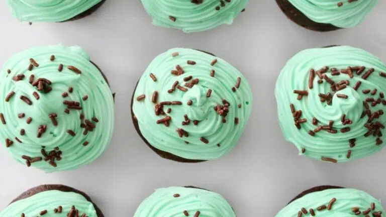 Chocolate mint cupcakes with green frosting.