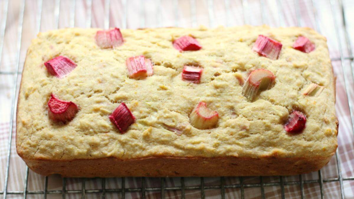 A loaf or orange rhubarb quick bread.