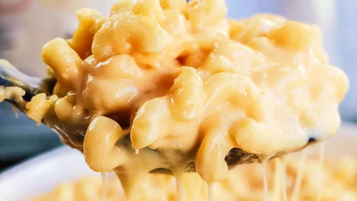 A spoonful of cheesy mac and cheese.