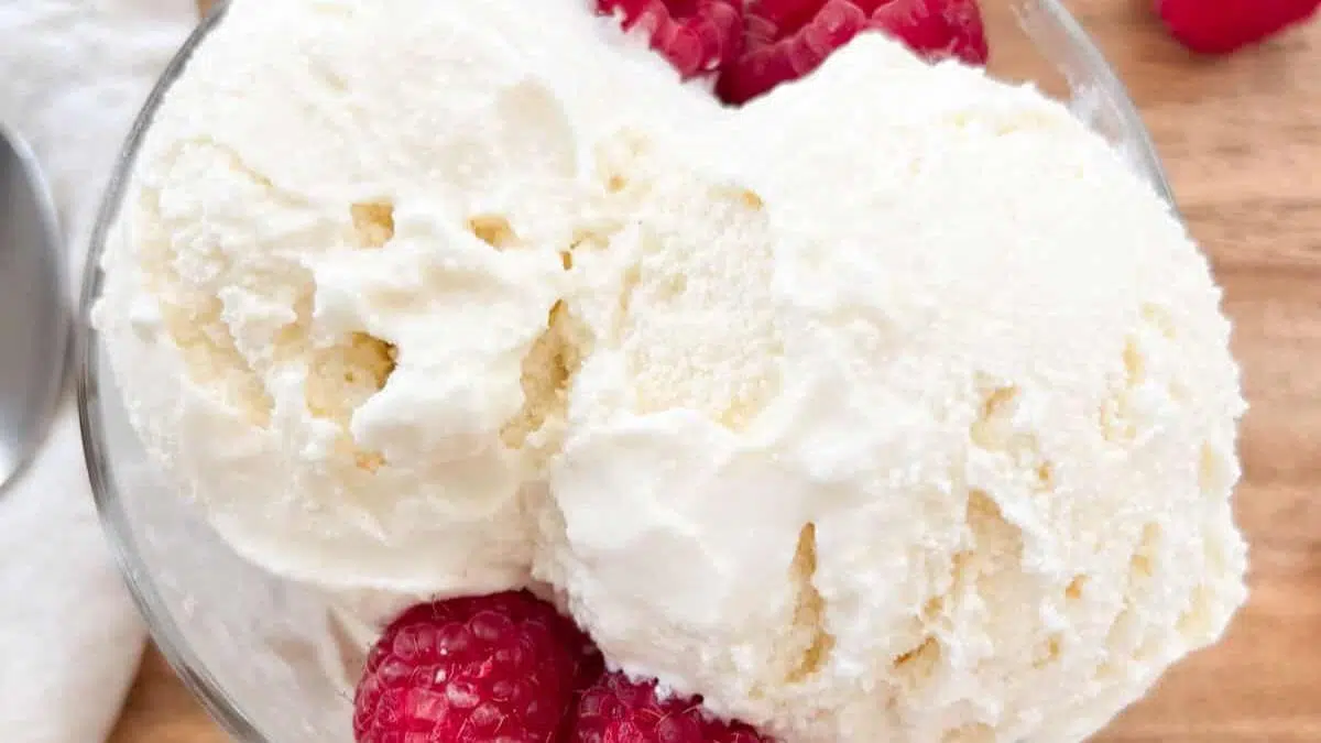 no egg vanilla ice cream
