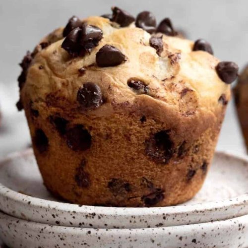 A chocolate chip muffin on a plate.