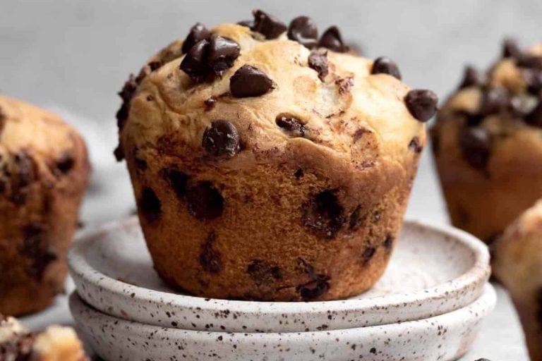 A chocolate chip muffin on a plate.