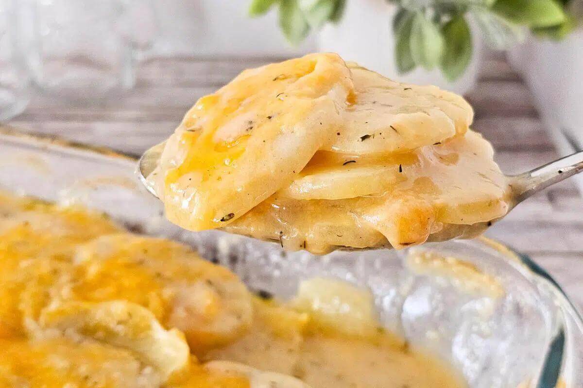 Cheesy scalloped potatoes.