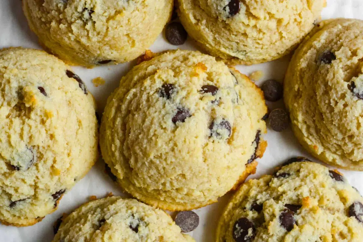 Low Carb Cookies loaded with sugar free chocolate chips.