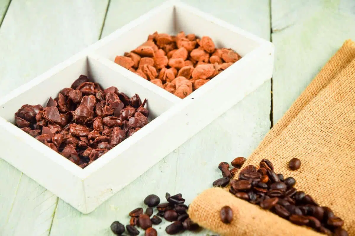 Chocolate Covered Coffee Beans served on a plate.