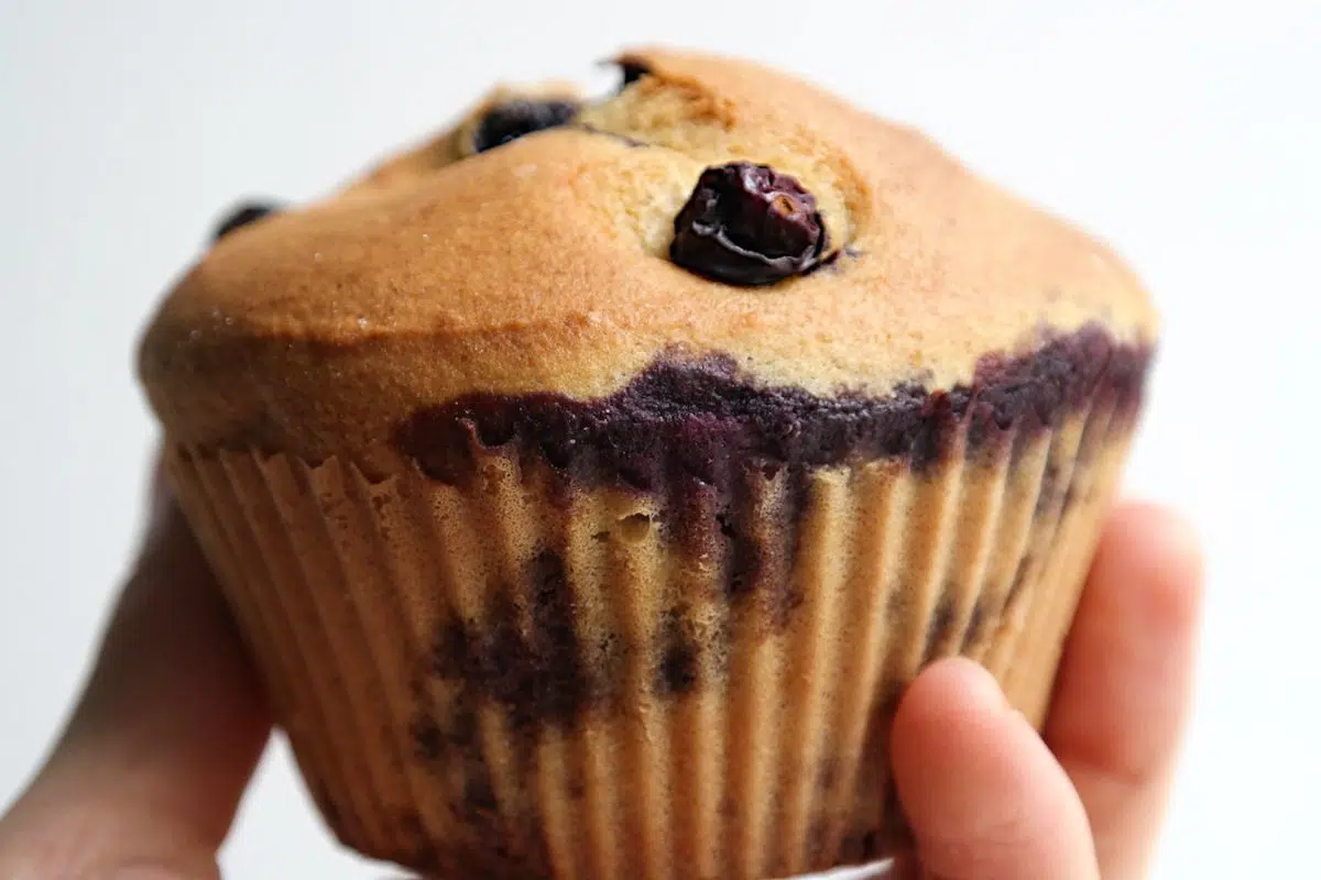 Blueberry Muffins