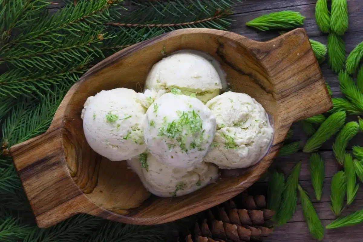 No-Churn Spruce Tip Ice Cream overhead view.