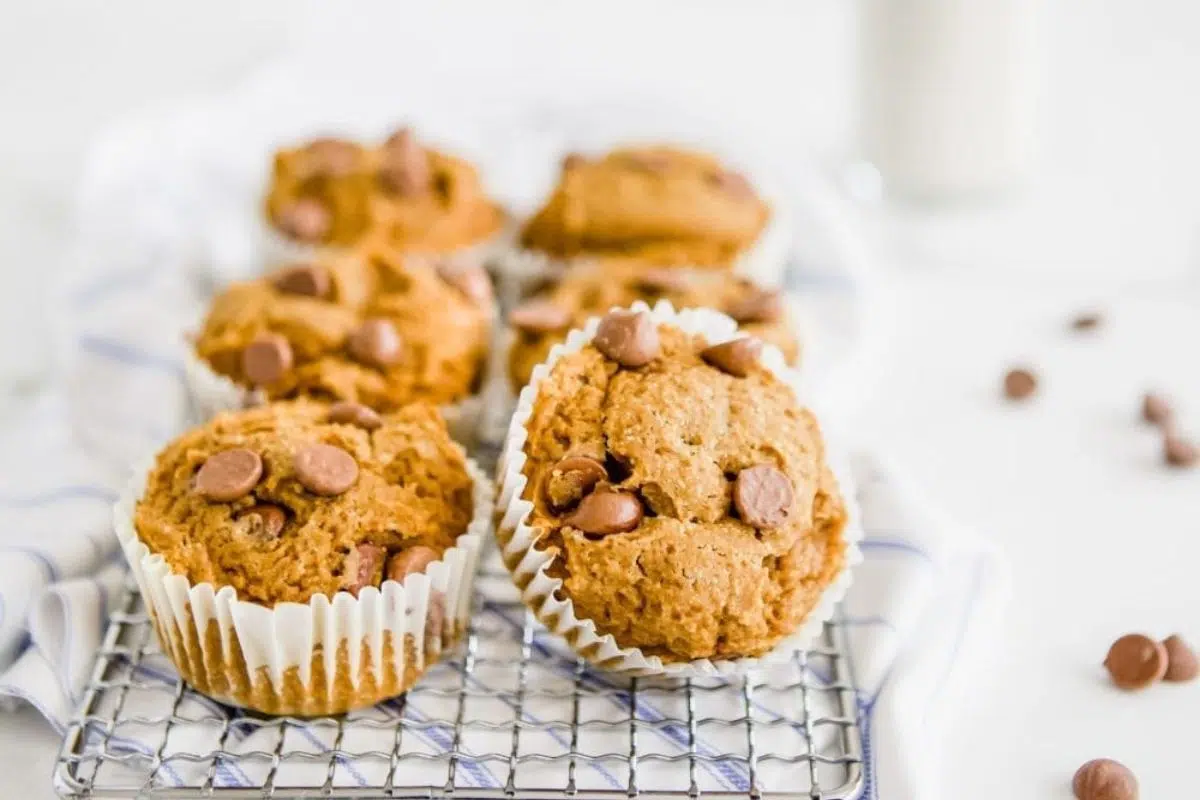 Pumpkin Muffins close up look.