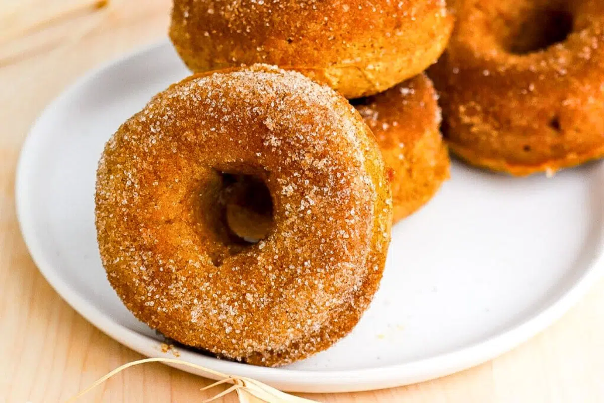 Pumpkin Spice Protein Donuts close up look.