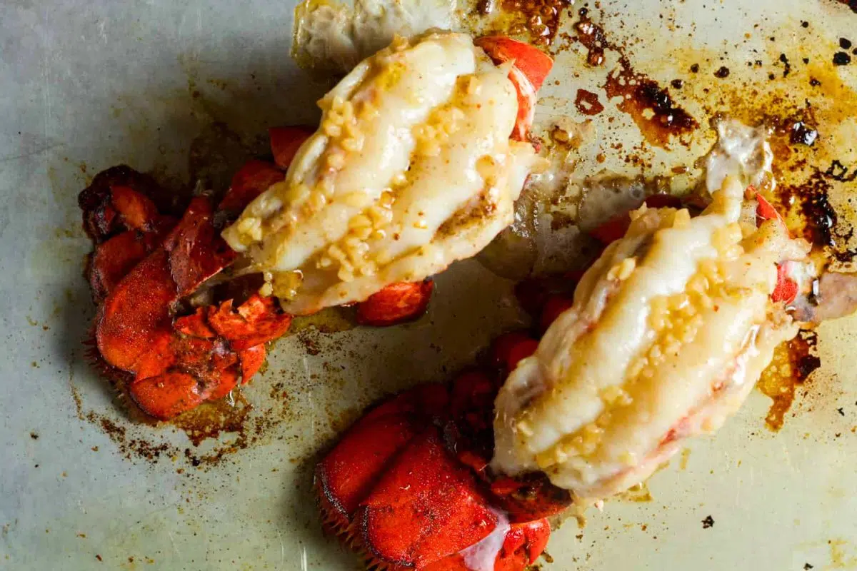 Lobster Tail overhead view.