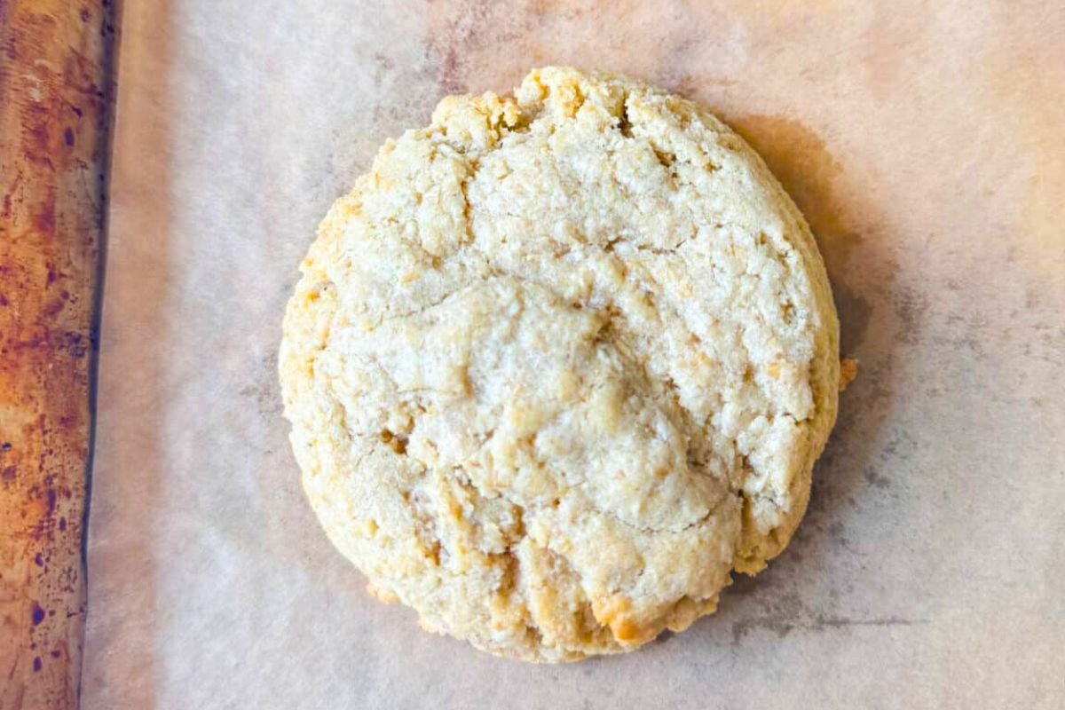 Iced Oatmeal Cookies close up look.