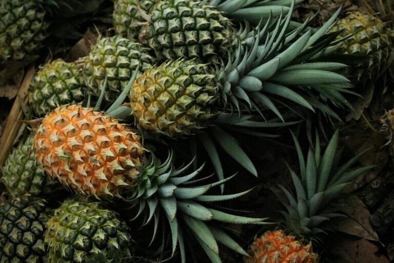 Ranking 12 Fruits by Their Glycemic Load from Low to High