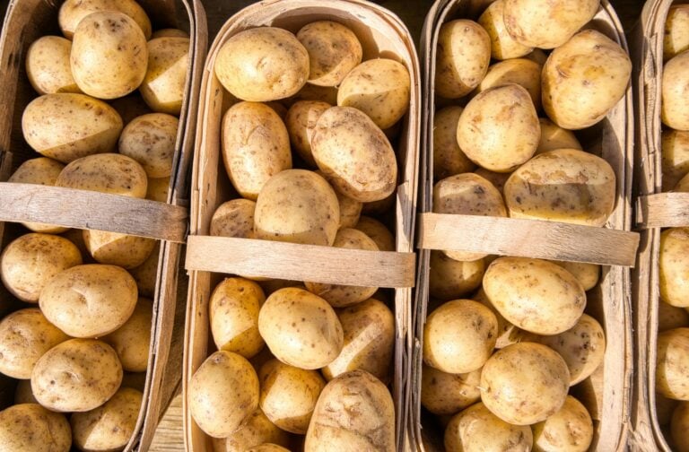 Five Common Vegetables That May Negatively Impact Your Health