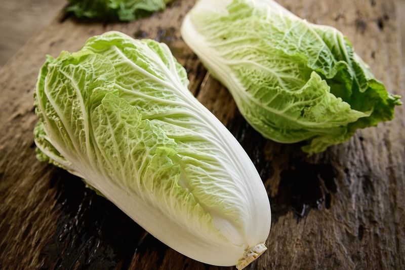 Chinese leaf cabbage