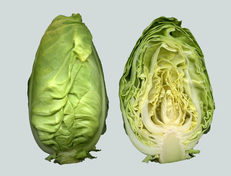 Pointed cabbage
